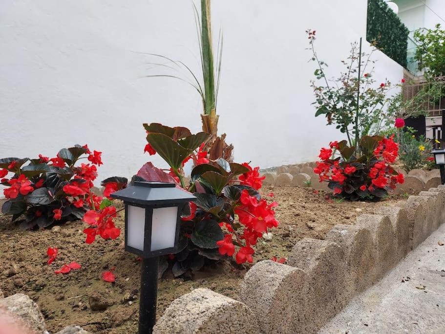 Aggeliki'S Place Detached Home With Yard/Parking Βόλος Εξωτερικό φωτογραφία